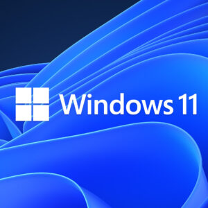 MICROSOFT OEM WINDOWS 11 PRO 64 BITS ESPAÑOL (FQC-10553)